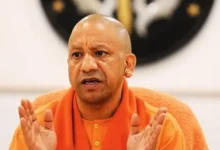 Photo of यूपी में जंगली जानवरों और मधुमक्खियों का हमला भी आपदा, योगी सरकार देगी मुआवजा