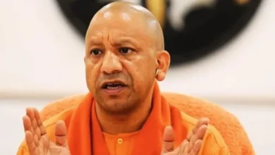 Photo of यूपी में जंगली जानवरों और मधुमक्खियों का हमला भी आपदा, योगी सरकार देगी मुआवजा