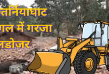 Photo of कतर्निया: 4 मजारों पर चला वन विभाग का बुलडोजर