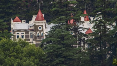 Photo of हरियाणा में नजरबंद प्रेमिका को पाने उत्तराखंड युवक ने हाईकोर्ट में लगाई गुहार