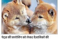 Photo of सेलिब्रिटी अपने प्यारे कुत्ते-बिल्ली को फिर देखना चाह रहे जिंदा मरने के बाद क्लोन से बन रहे पेट्स