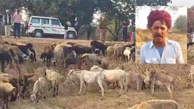 Photo of ग्रेटर नोएडा की फैक्ट्री के पानी ने ले ली 25 भेड़ों की जान, मौत के बाद लगा कंपनी पर ताला